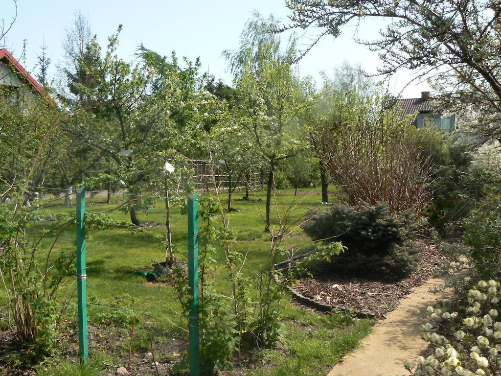 Wama Apartment Nowa Wies  Bagian luar foto